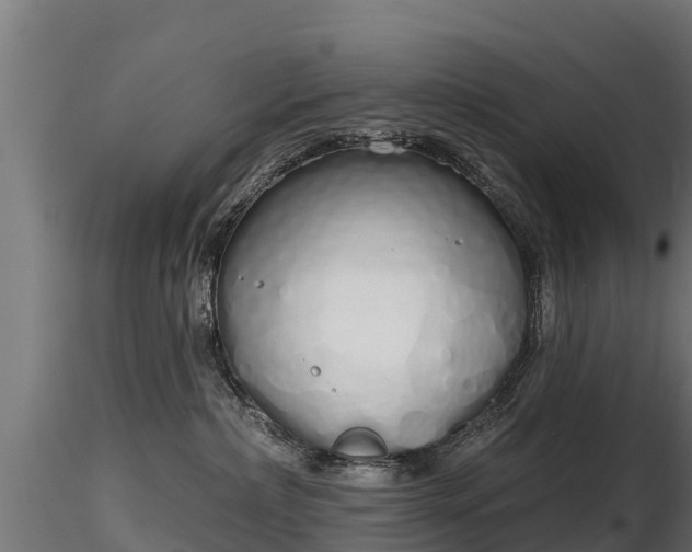 X0000116830236200912241233