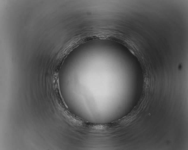 X0000116830237200912241233