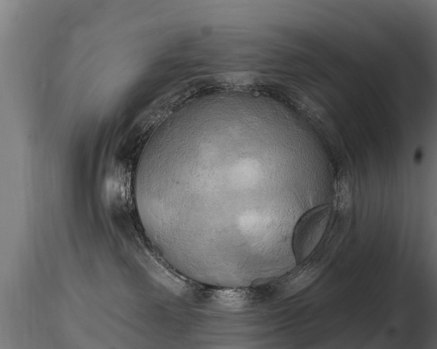 X0000116830238200912241233