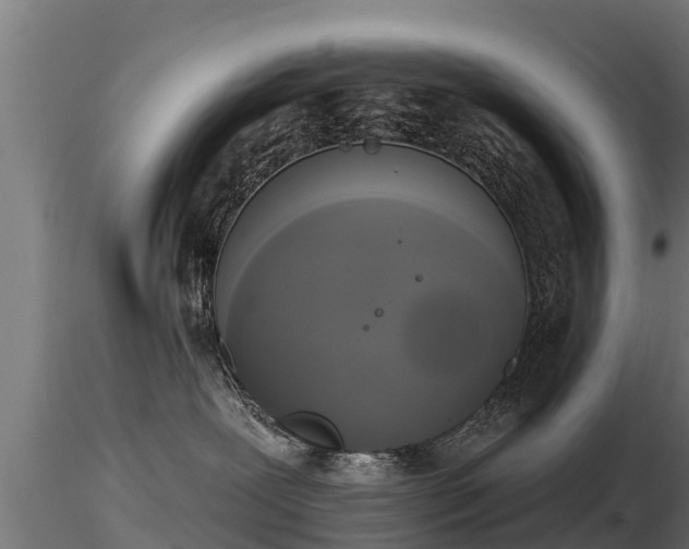 X0000116830239200912241233
