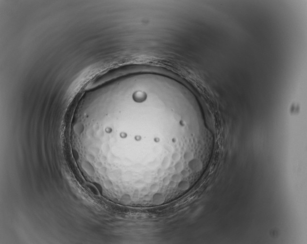 X0000116830242200912241232