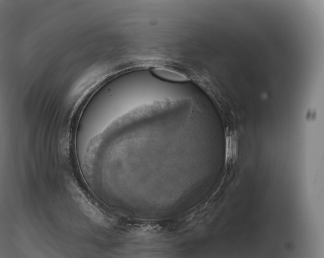 X0000116830243200912241232