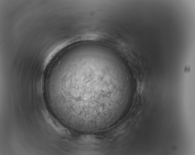 X0000116830244200912241232