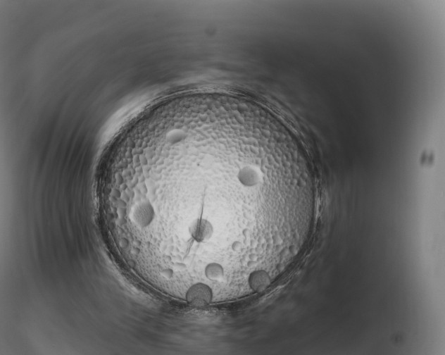 X0000116830245200912241232