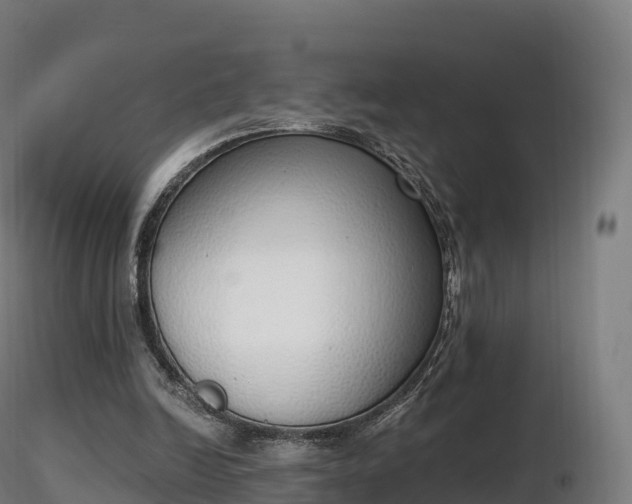 X0000116830246200912241232