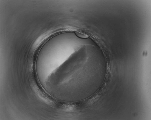 X0000116830247200912241232