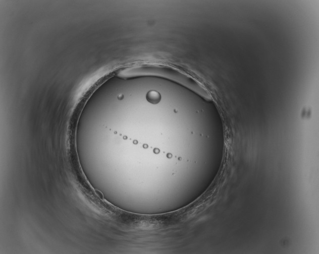 X0000116830248200912241232