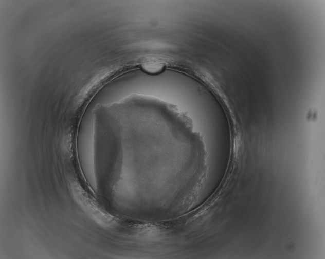 X0000116830249200912241232