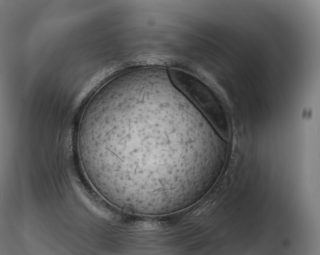 X0000116830250200912241232
