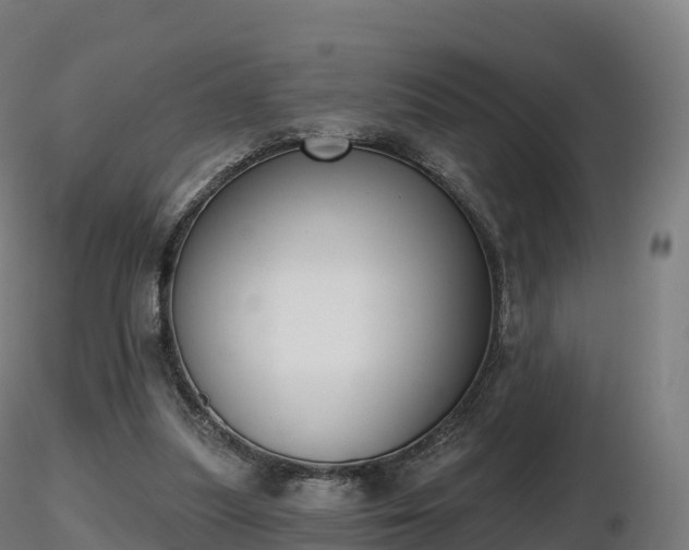 X0000116830251200912241232