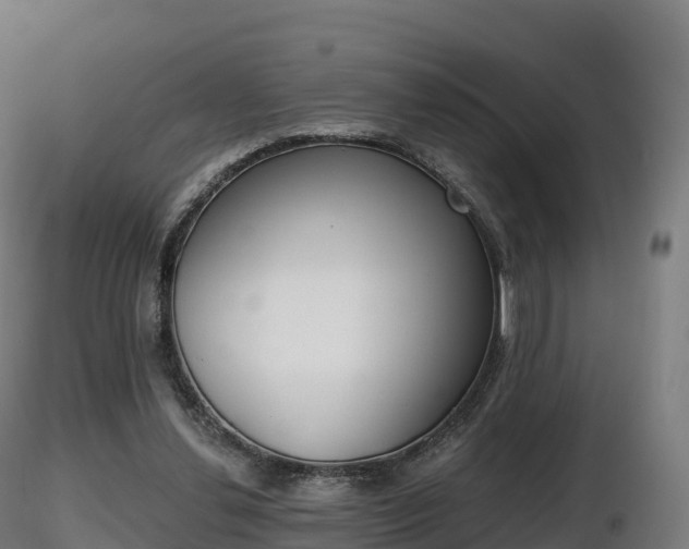 X0000116830252200912241232