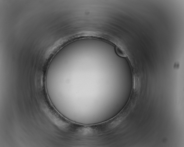 X0000116830253200912241233