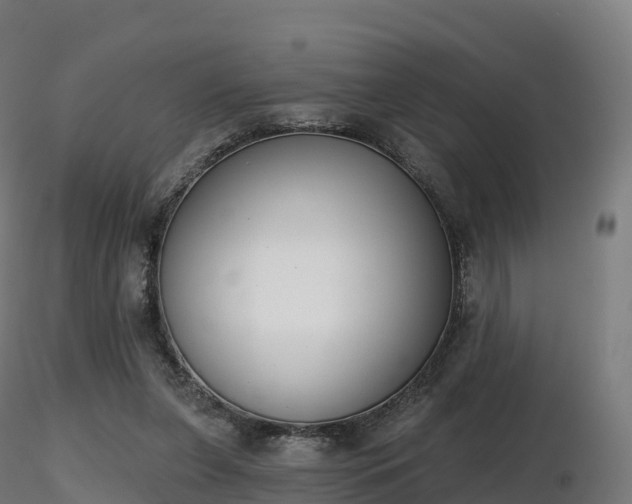 X0000116830255200912241233