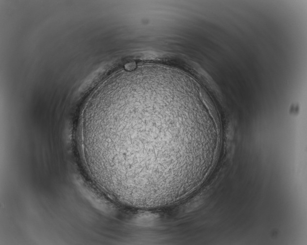 X0000116830257200912241233