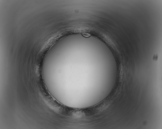 X0000116830258200912241233
