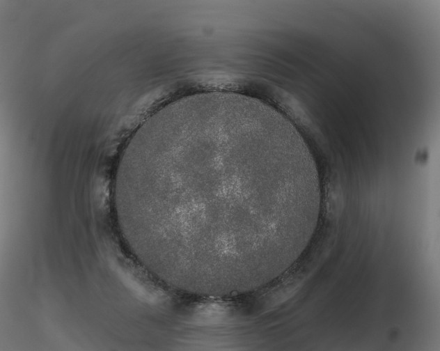 X0000116830259200912241233