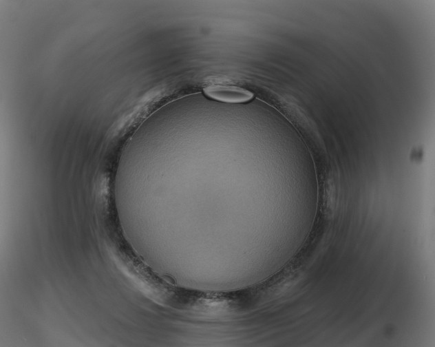 X0000116830260200912241233