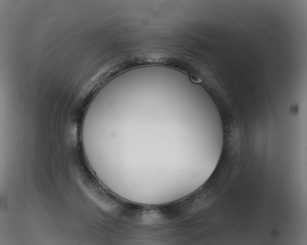 X0000116830262200912241233