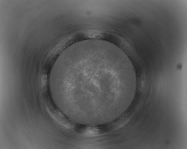 X0000116830263200912241233