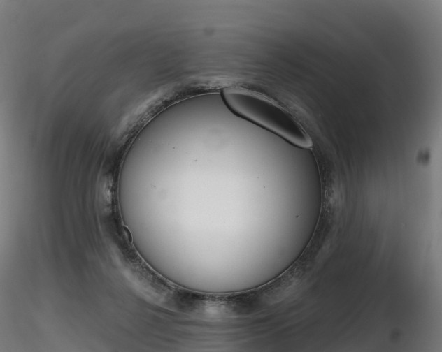 X0000116830264200912241233