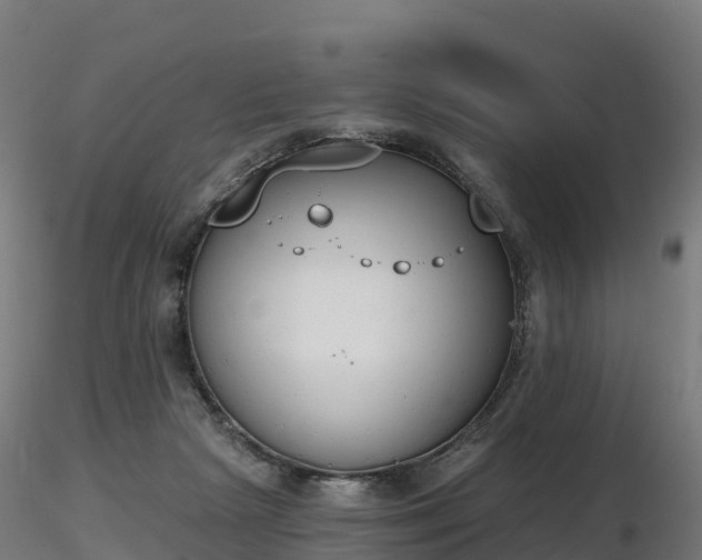 X0000116830265200912241233