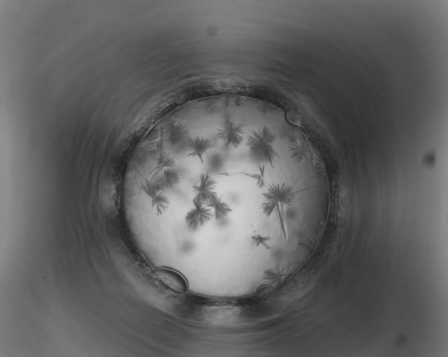 X0000116830266200912241233