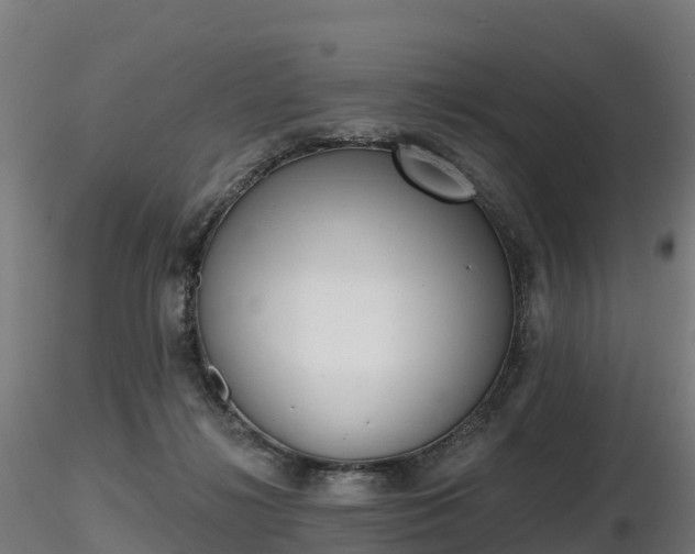 X0000116830268200912241233