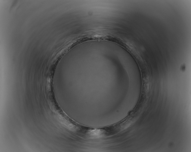 X0000116830269200912241233