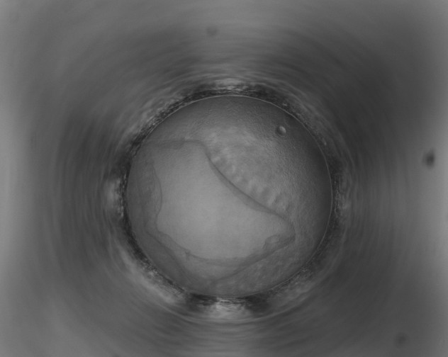 X0000116830270200912241233