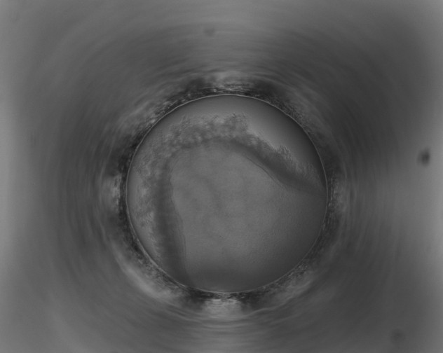 X0000116830271200912241233