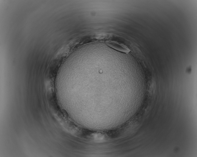 X0000116830272200912241233