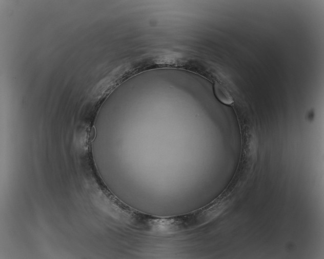 X0000116830273200912241233