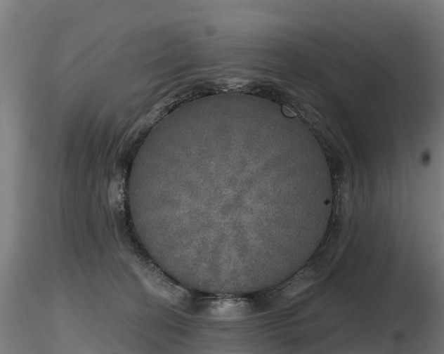 X0000116830274200912241233