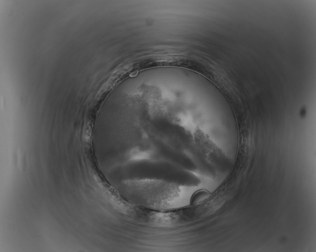 X0000116830277200912241233