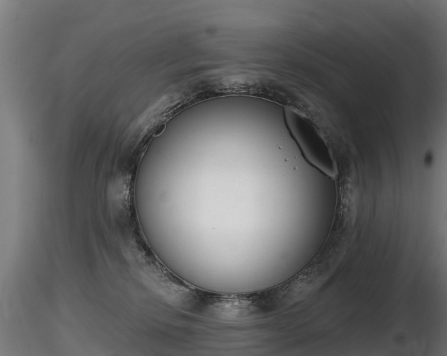 X0000116830278200912241233