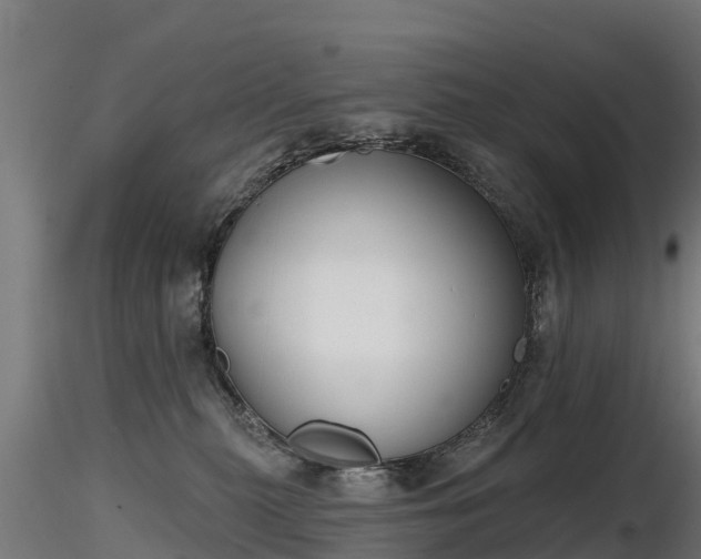 X0000116830279200912241233