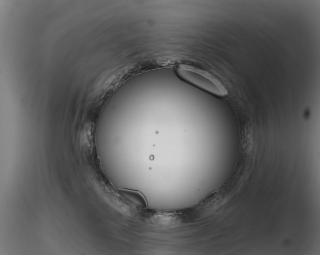 X0000116830280200912241233