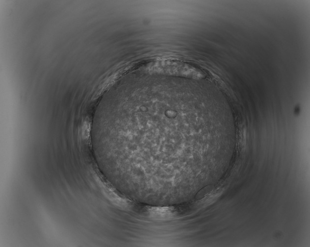 X0000116830281200912241233