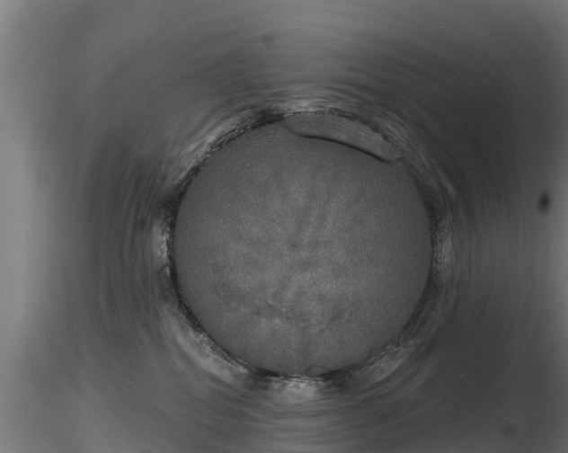 X0000116830282200912241233