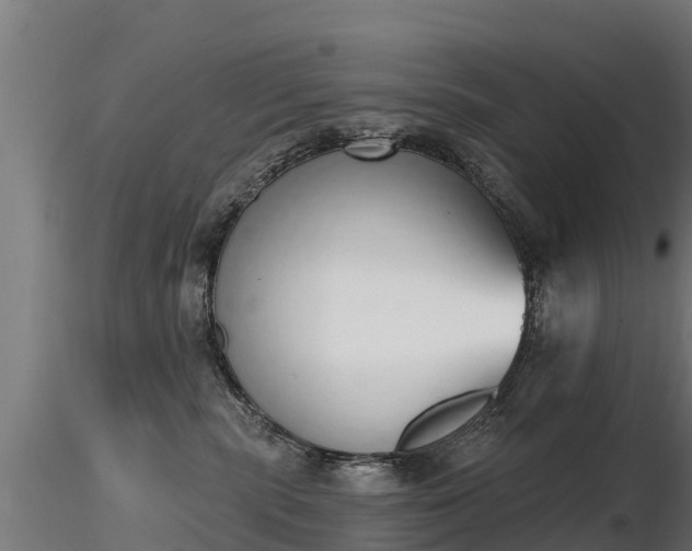 X0000116830283200912241233