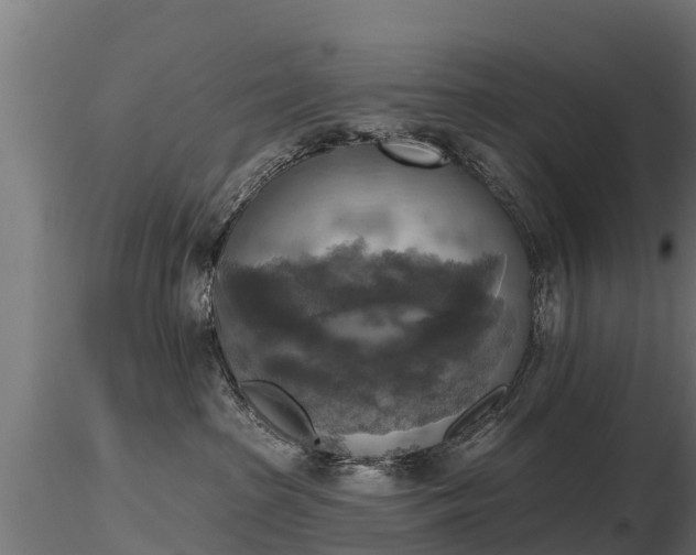 X0000116830285200912241233