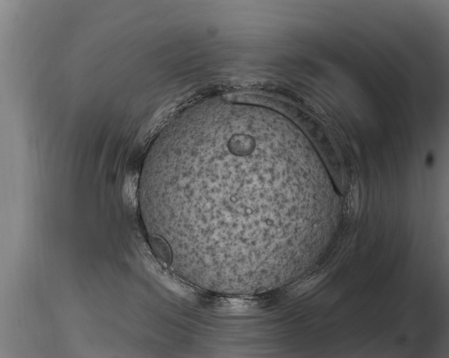 X0000116830286200912241233