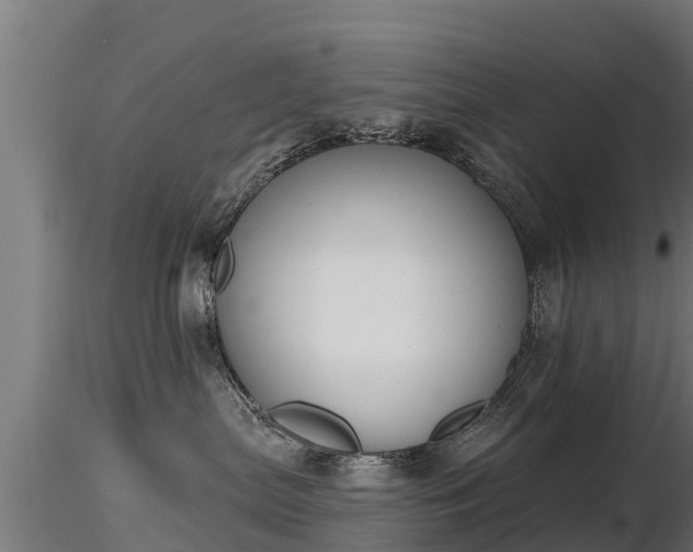 X0000116830287200912241233