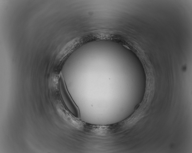 X0000116830288200912241233