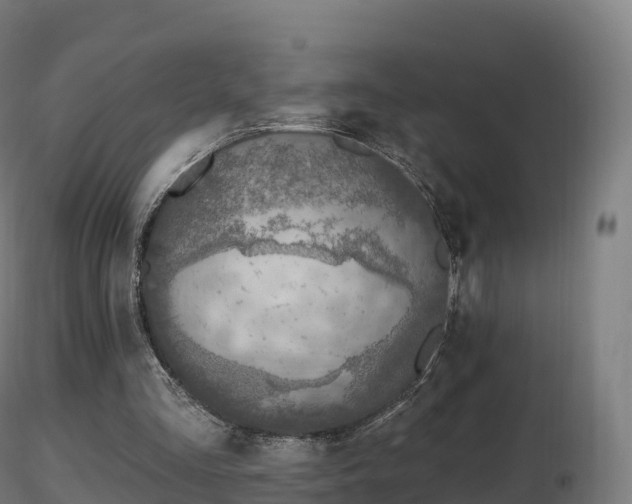 X0000116830293200912241232