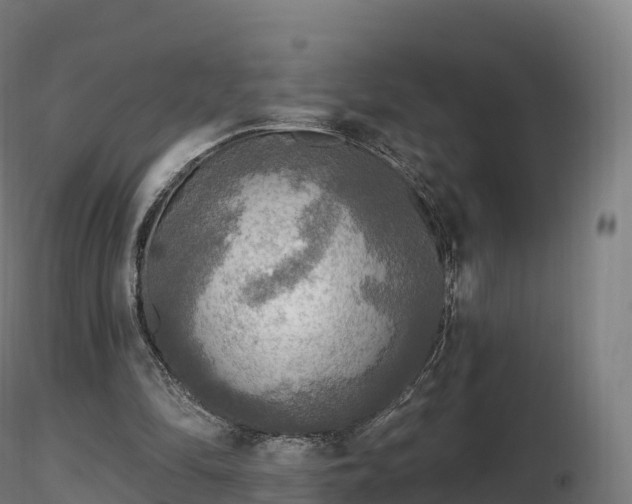 X0000116830294200912241232