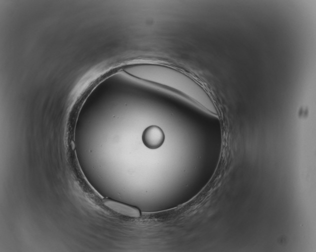 X0000116830296200912241232