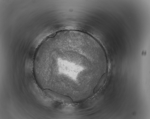 X0000116830297200912241232