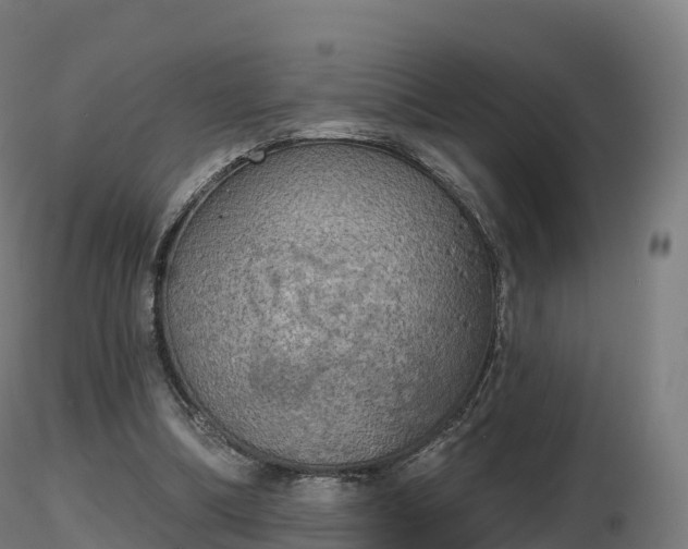 X0000116830298200912241232