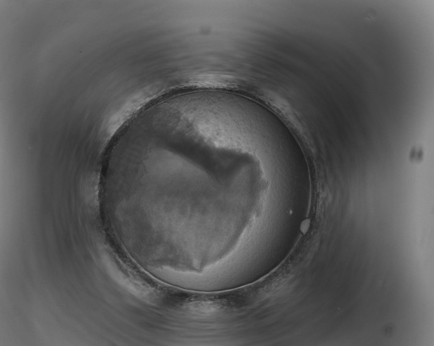 X0000116830299200912241232